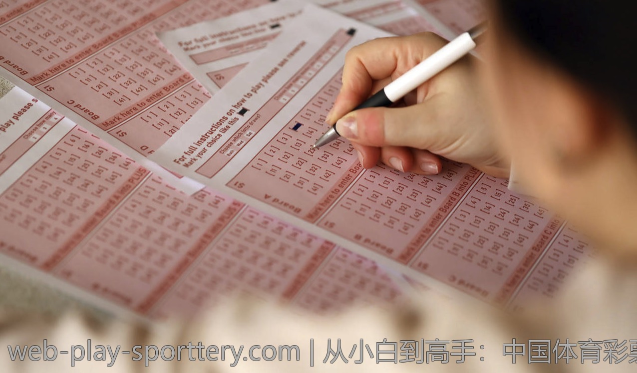 从小白到高手:中国体育彩票攻略